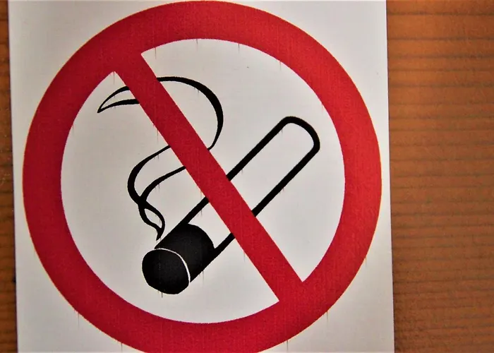 Pink House Lejlighed